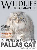 Wildlife Photographic Magazine Screenshot