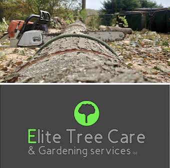 Elite tree care ltd album cover