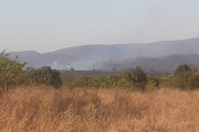 A fire near Lanseria International Airport has caused the redirection of traffic and affected the nearby Lion & Safari Park.