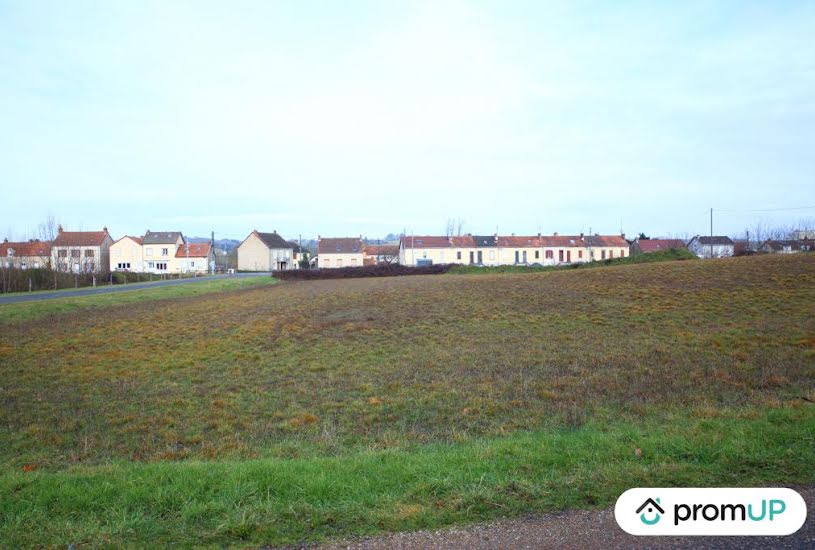  Vente Terrain à bâtir - 11 990m² à Digoin (71160) 