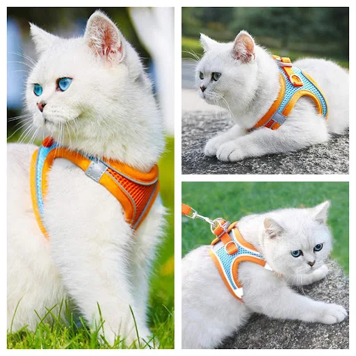Cat Harness Reflective Pet Harnesses And Leashes Set Adjustable Pet Harness for Cats Small Dogs Pug Chihuahua Cat Access