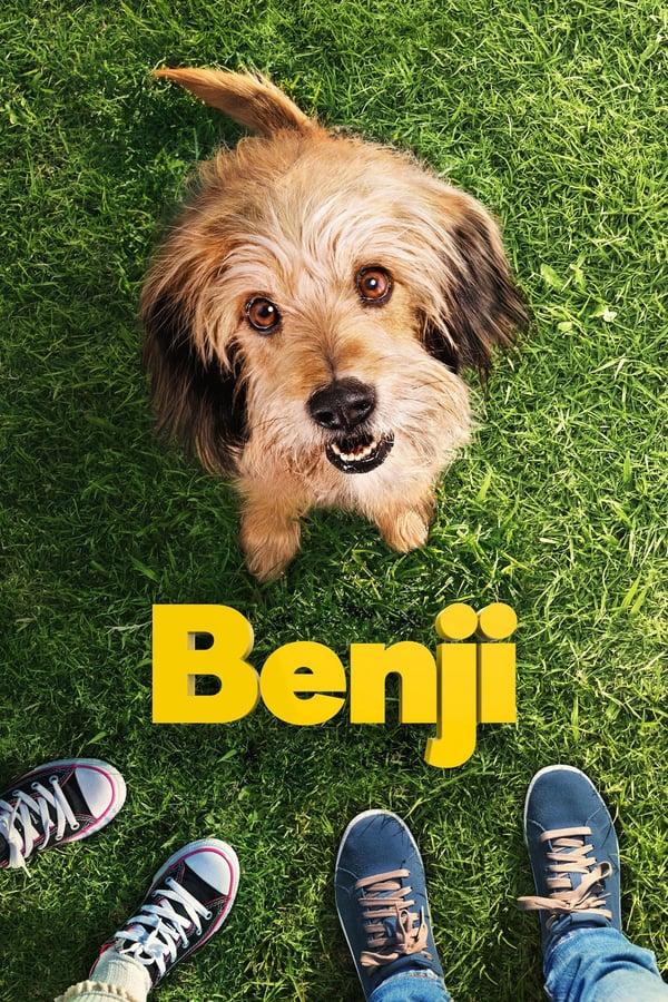 5. BENJI  