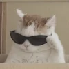 ユーザー