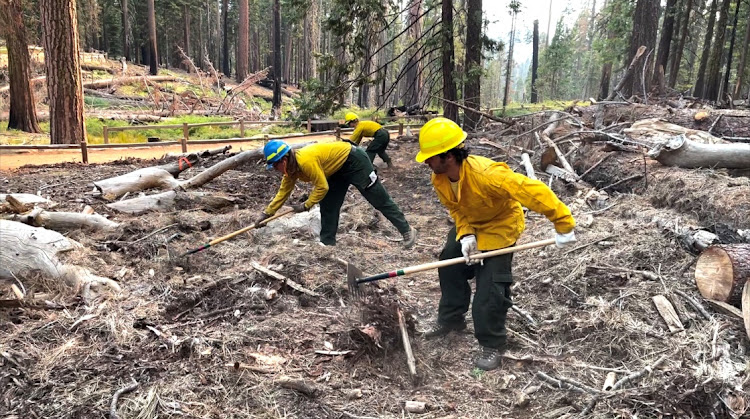 Workers prepare the area to protect it, as Washburn Fire continues to burn in the area, in Yosemite National Park's Mariposa Grove, California, US in this screen grab taken from an undated handout video obtained by Reuters on July 11, 2022.