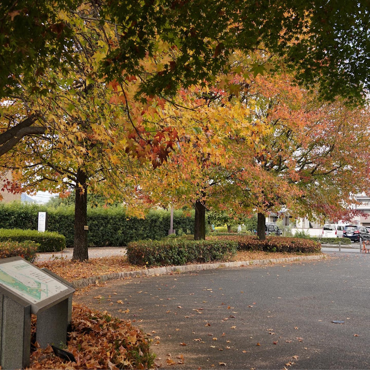 ロードスターの紅葉ドライブ・ロードスターのある風景・ロードスターのある生活・スポーツカー好き・ソニーフルサイズミラーレス一眼に関するカスタム事例の投稿画像5枚目