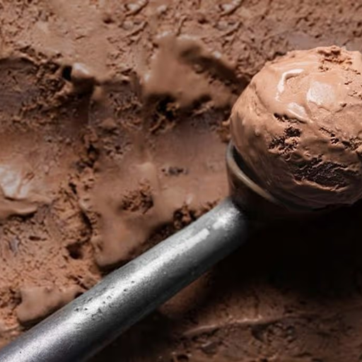 Belgian Choc 1 Scoop