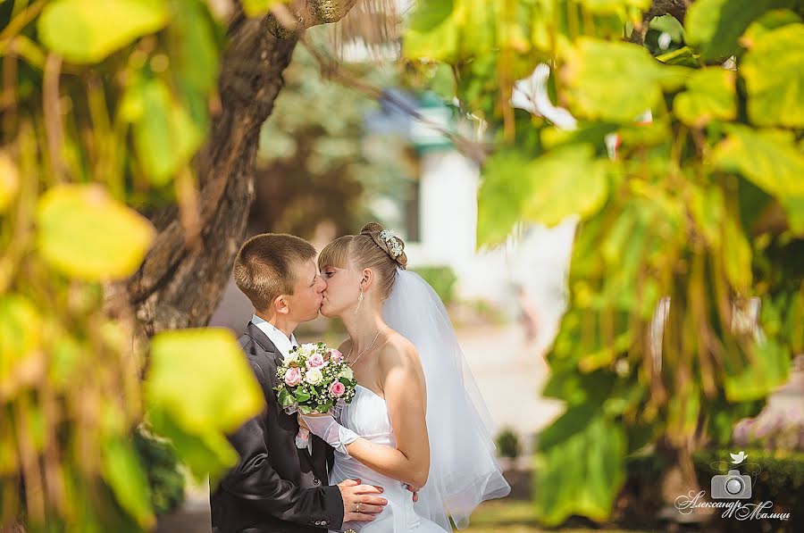 Fotógrafo de bodas Aleksandr Malysh (alexmalysh). Foto del 24 de septiembre 2015