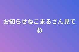 お知らせねこまるさん見てね