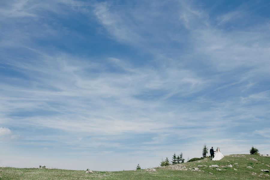 Fotógrafo de casamento Foto Pavlović (mirnapavlovic). Foto de 19 de julho 2017