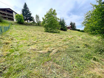 terrain à Neuviller-la-Roche (67)