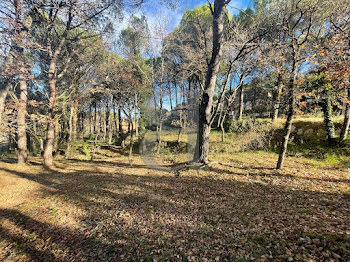 terrain à Sainte-Cécile-les-Vignes (84)