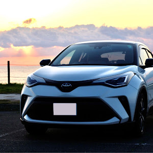 C-HR ZYX11