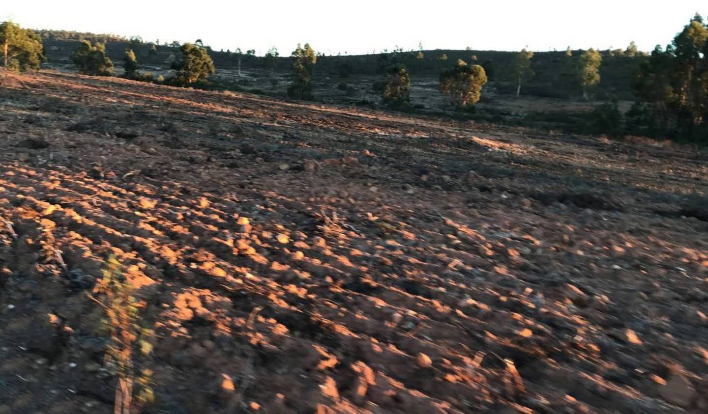 Maison El Cerro de Andévalo