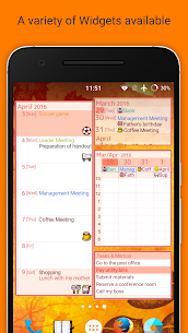 Jorte Calendar & Organizer Premium (MOD) 2