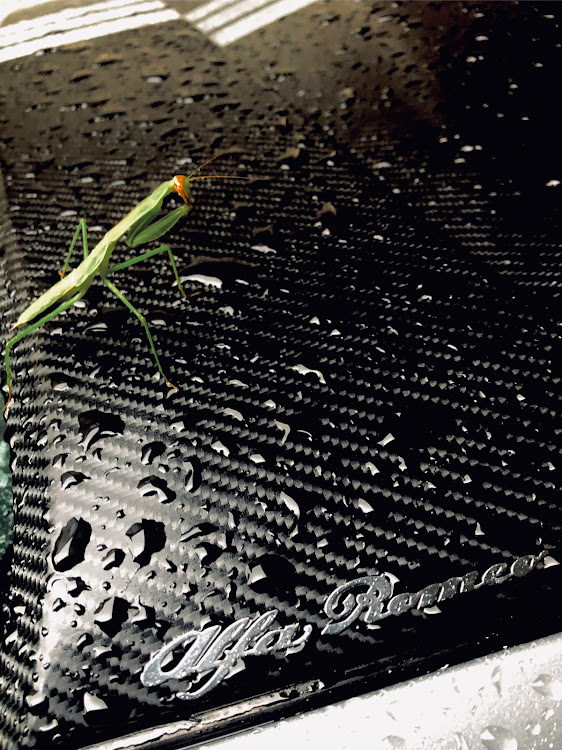 156スポーツワゴンのDIY・アルファロメオ・雨の日ショットに関するカスタム事例の投稿画像1枚目
