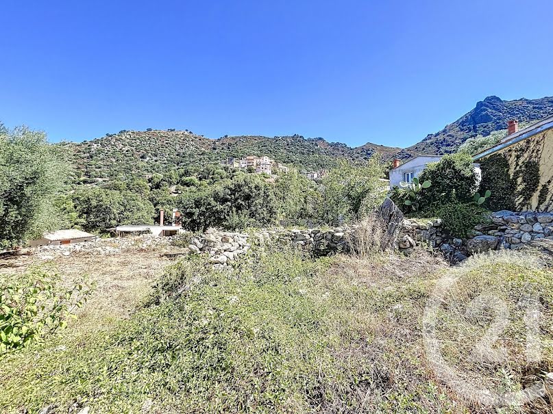 Vente terrain à batir  824 m² à Zilia (20214), 172 000 €