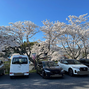 シビック FK7