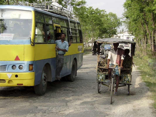 Bus vs ciclotaxi di leorol