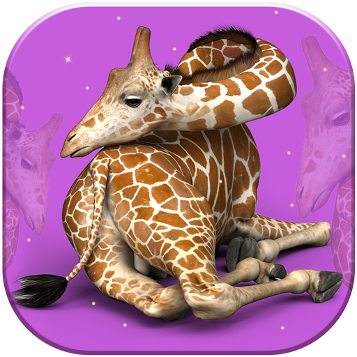 3D Animals Live Wallpaper