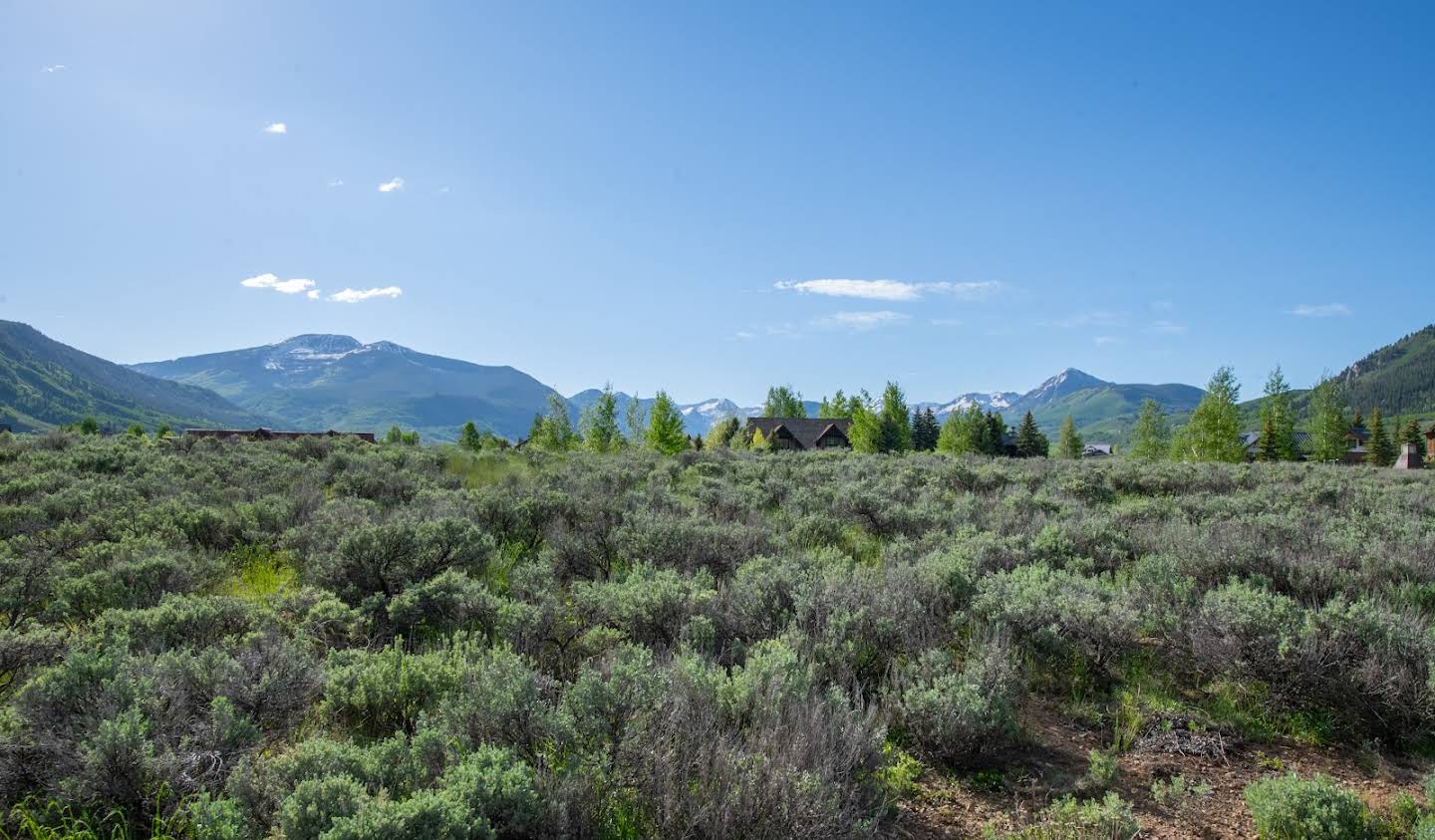 Land Crested Butte