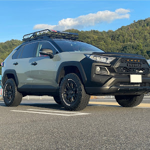 RAV4 MXAA54