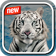 White Tiger Photo Frame Download on Windows