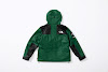 supreme the north face leather mountain parka green