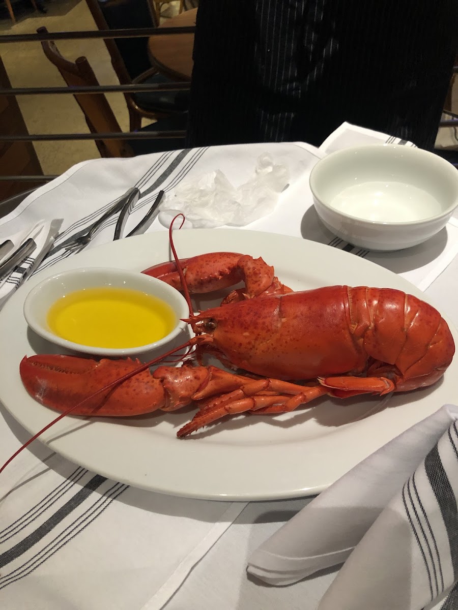 Maine lobster. They crack it for you table side.