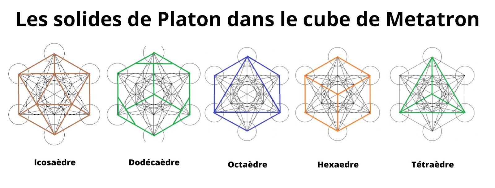 Les 5 solides de Platon ou les 5 polyèdres réguliers convexes. Géométrie  sacrée apportant harmonie pour votre décoration d'intérieur