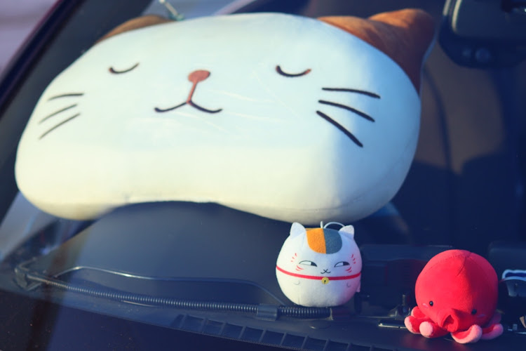 ロードスターのカメ活📷・高速のPA・ねこさん達別ショットに関するカスタム事例の投稿画像4枚目
