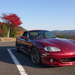 ロードスター NB6C