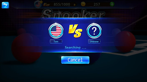 Screenshot Snooker