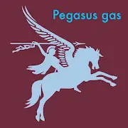 Pegasus Gas Boilers Logo