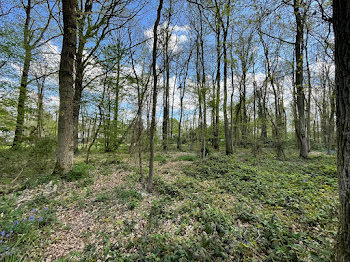 terrain à Ferrières-Haut-Clocher (27)