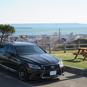 LS UVF45