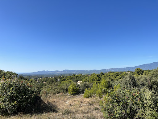 Villa avec piscine et jardin 4