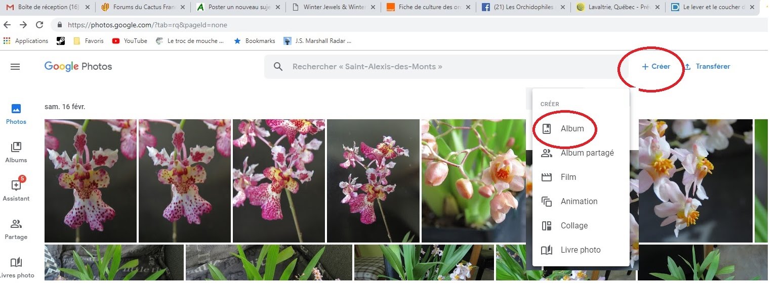 Utilisation de Google Photos pour mettre des photos sur le forum V_QHYnuJaDwwgj08oA5Y9qf1z2LaFlX878JowmlmxVj-Qf6RpuKc98jAqDaUIWD8R1JIjn6K-jk84nQVfTexrL13noHvqbxAafKRaJiCR5dtcxdxWDdWFohRXCbl330J-7ymEWlxyg8=w2400