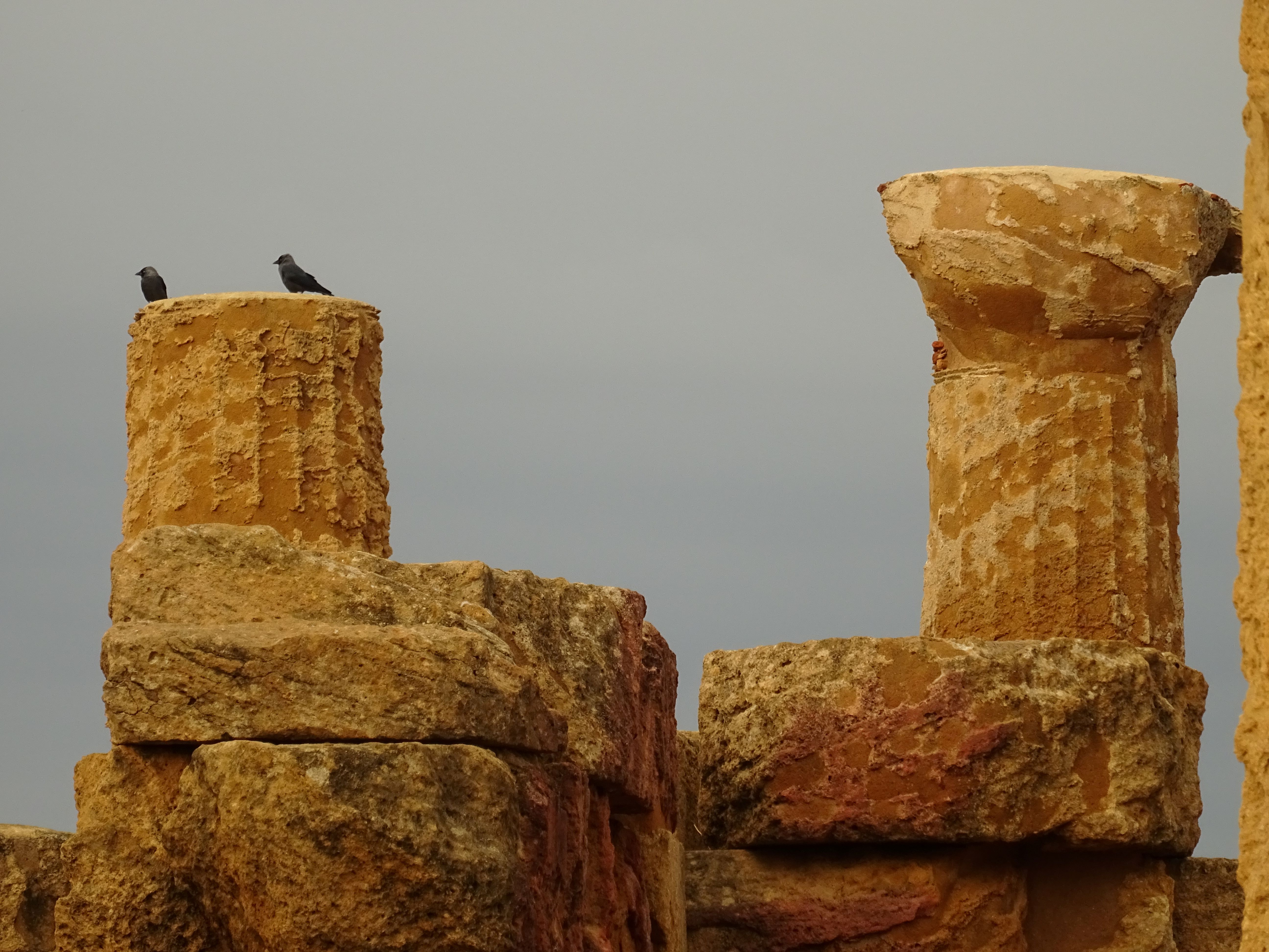 La Valle dei Templi - Agrigento di lenuccia4