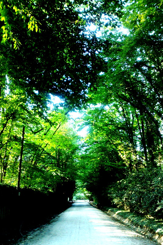 Tunnel verde di Josephine