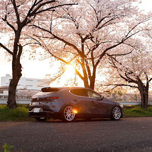 MAZDA3 BPFP