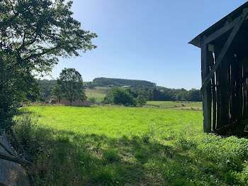 terrain à Neuvic-Entier (87)