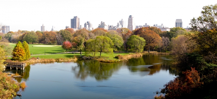 Autumn in New York di vlao