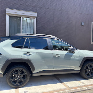 RAV4 AXAH54