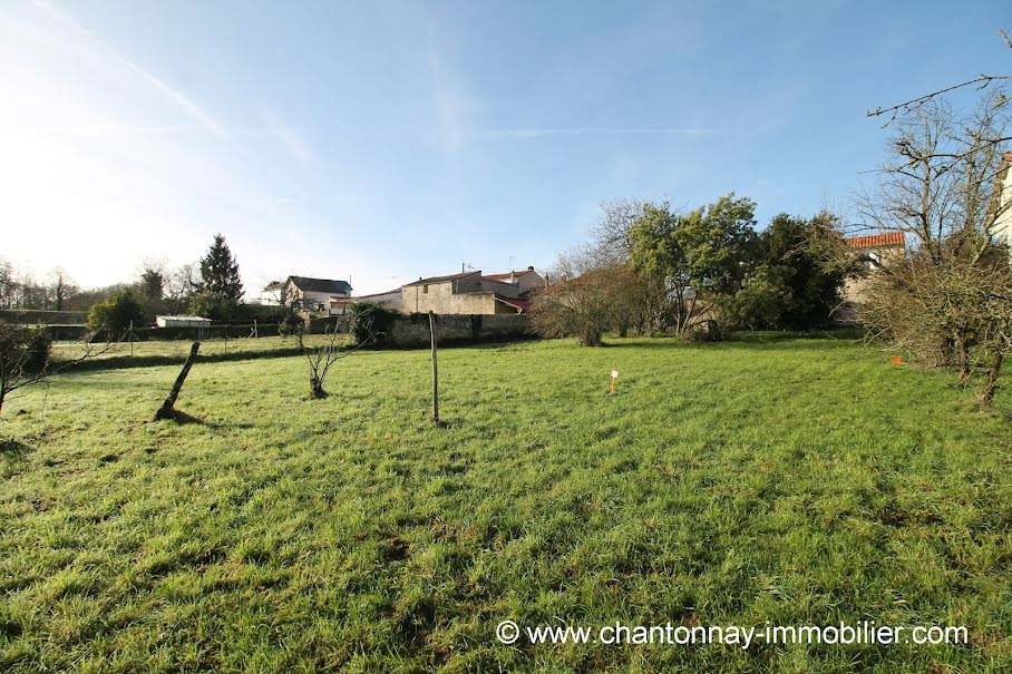 Vente terrain  291 m² à Chantonnay (85110), 21 915 €