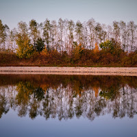 Naturali simmetrie di 