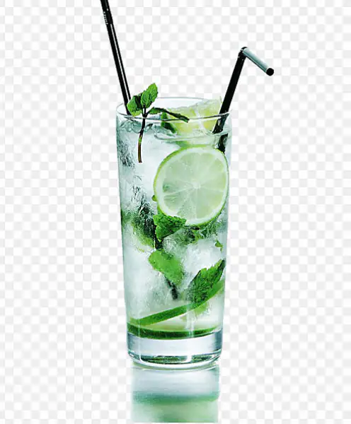 Mint - Mojito