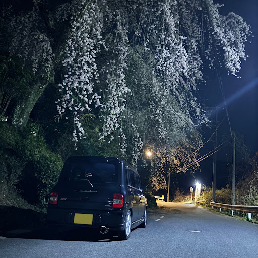 Ryotaのプロフィール画像
