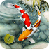 Fish Live Wallpaper free: Koi Fish Backgrounds HD1.3