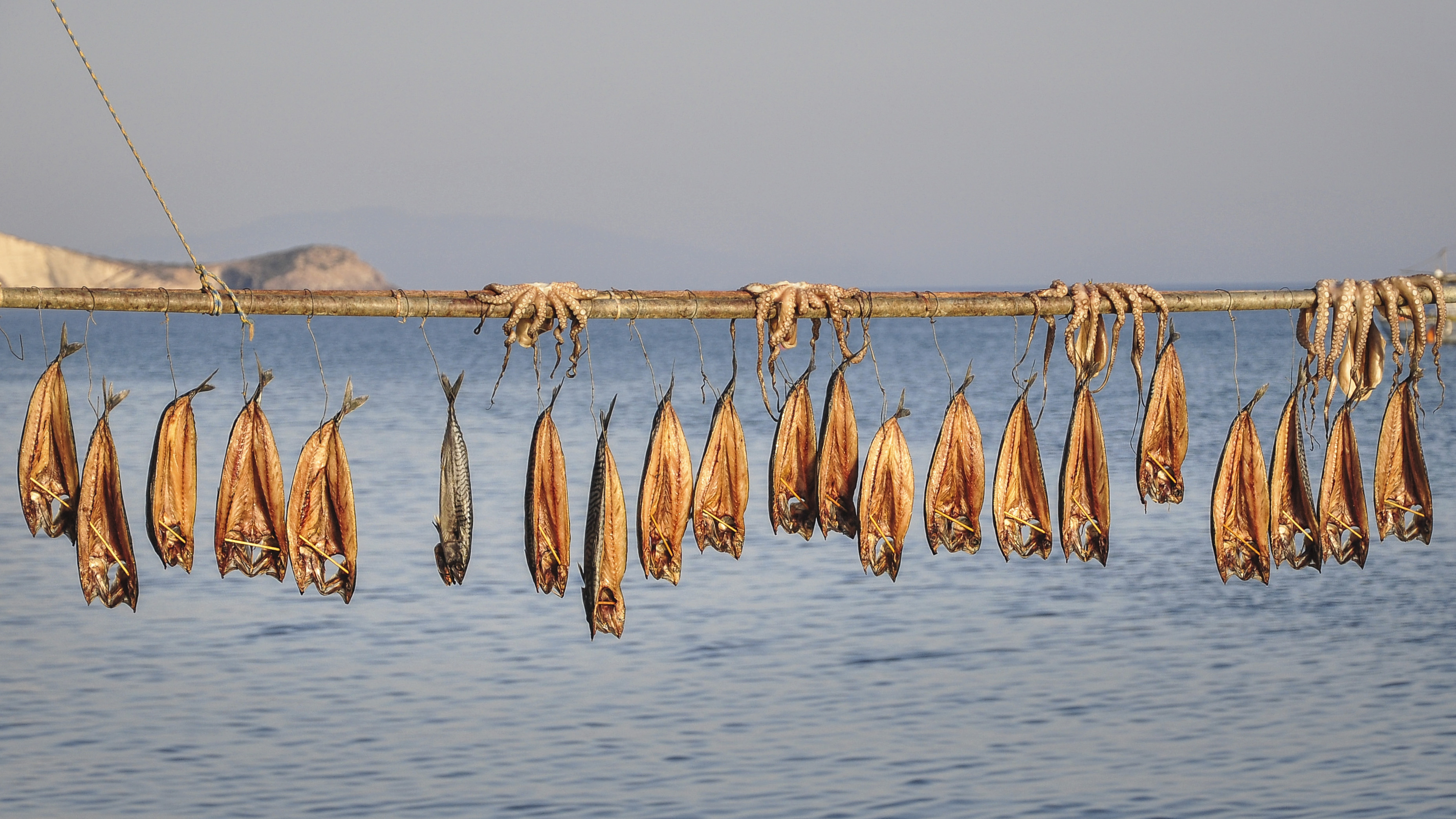 Gouna di mill