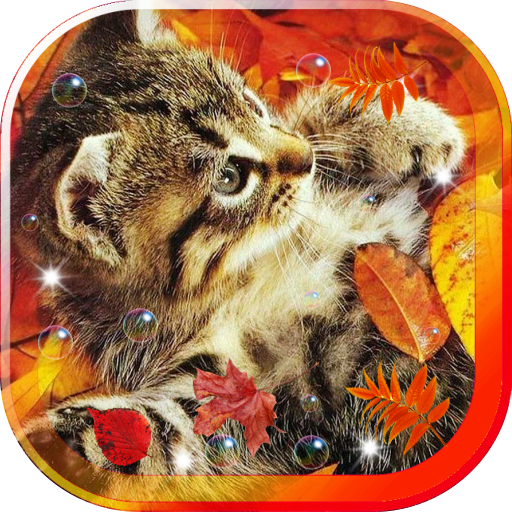 Autumn Cats Voices LWP 個人化 App LOGO-APP開箱王